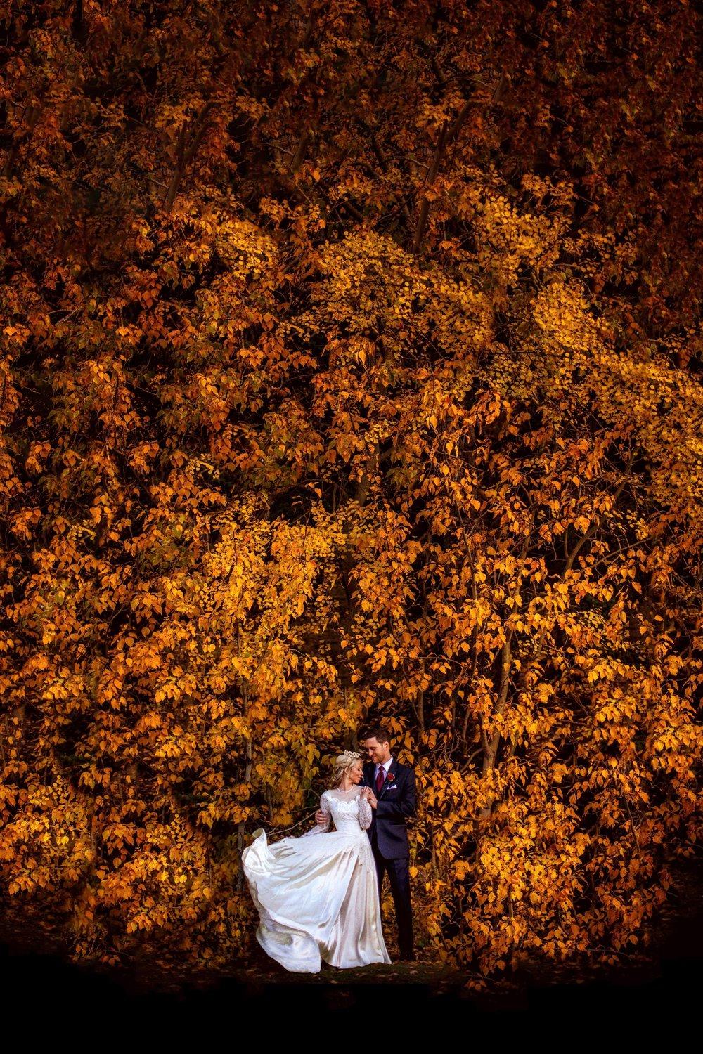 carousel-hero-element image-1